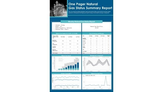 One Pager Natural Gas Status Summary Report PDF Document PPT Template