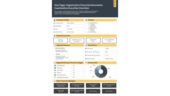 One Pager Organization Financial Information Examination Executive Overview PDF Document PPT Template