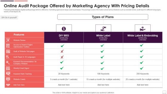 Online Audit Package Offered By Marketing Agency With Pricing Details Brochure PDF