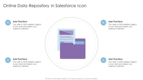 Online Data Repository In Salesforce Icon Information PDF