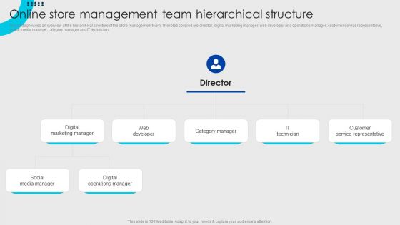 Online Fashion Firm Summary Online Store Management Team Hierarchical Structure Structure PDF