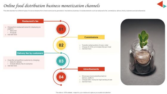 Online Food Distribution Business Monetization Channels Mockup PDF