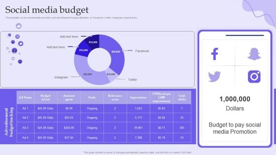 Online Marketing And Social Media Platforms Pitch Deck Social Media Budget Pictures PDF