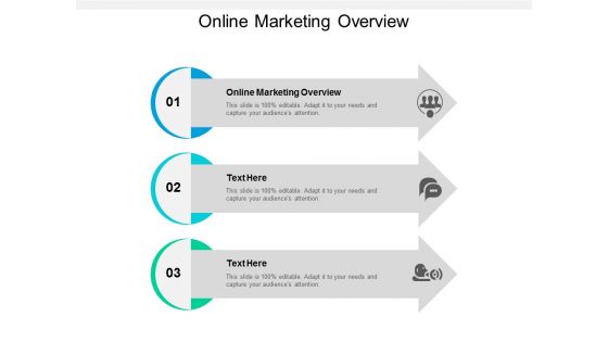 Online Marketing Overview Ppt PowerPoint Presentation Slides Design Inspiration Cpb