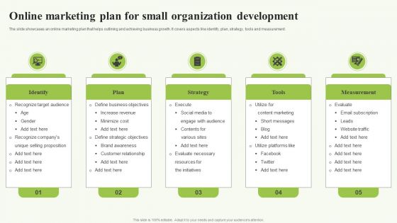 Online Marketing Plan For Small Organization Development Mockup PDF