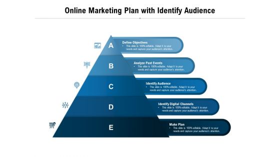 Online Marketing Plan With Identify Audience Ppt PowerPoint Presentation Layouts Demonstration PDF