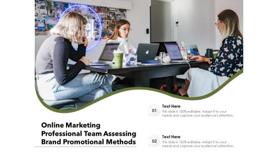 Online Marketing Professional Team Assessing Brand Promotional Methods Ppt PowerPoint Presentation File Show PDF Online Marketing Professional Team Assessing Brand Promotional Methods Ppt PowerPoint Presentation File Show PDF