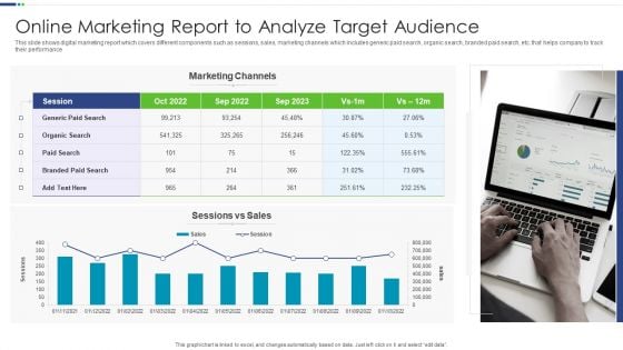 Online Marketing Report To Analyze Target Audience Elements PDF