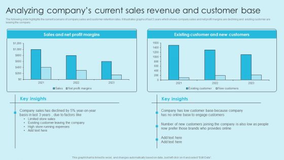 Online Marketing Techniques For Acquiring Clients Analyzing Companys Current Sales Revenue Pictures PDF