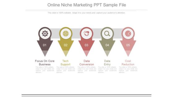 Online Niche Marketing Ppt Sample File