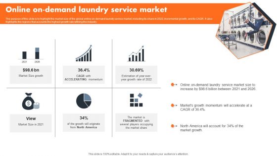 Online On Demand Laundry Service Market Information PDF