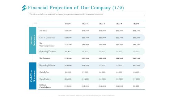 Online Payment Platform Financial Projection Of Our Company Net Elements PDF