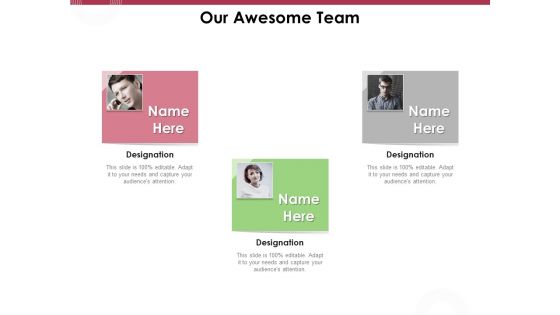 Online Product Planning Our Awesome Team Ppt Gallery Diagrams PDF