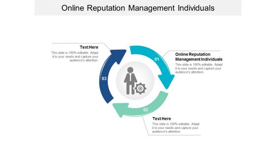 Online Reputation Management Individuals Ppt PowerPoint Presentation Gallery Microsoft Cpb