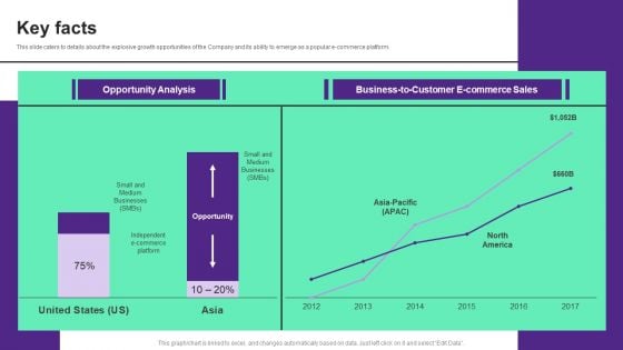 Online Store Investment Pitch Deck Key Facts Elements PDF