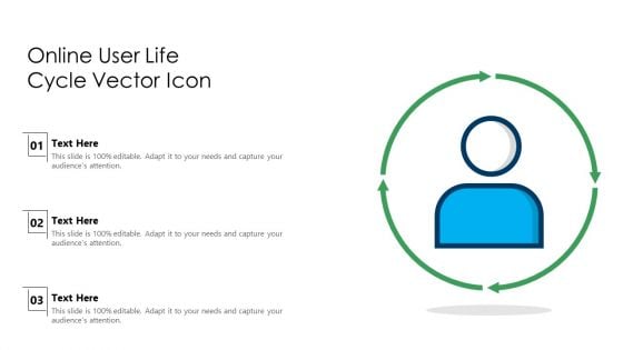 Online User Life Cycle Vector Icon Ppt Professional Shapes PDF