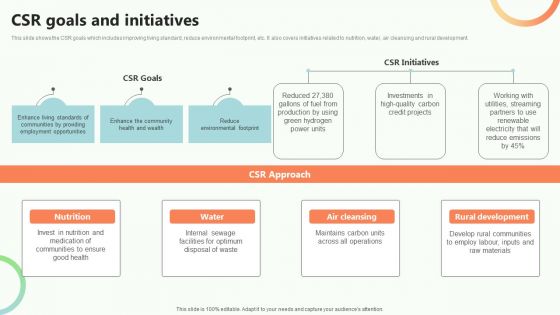 Online Video Content Provider Business Profile CSR Goals And Initiatives Icons PDF