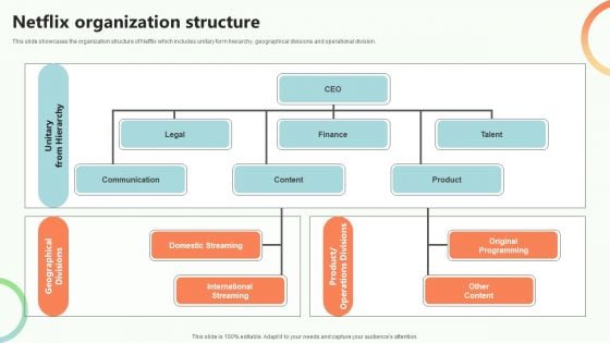 Online Video Content Provider Business Profile Netflix Organization Structure Rules PDF