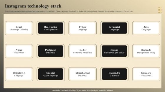 Online Video Model Company Profile Instagram Technology Stack Demonstration PDF