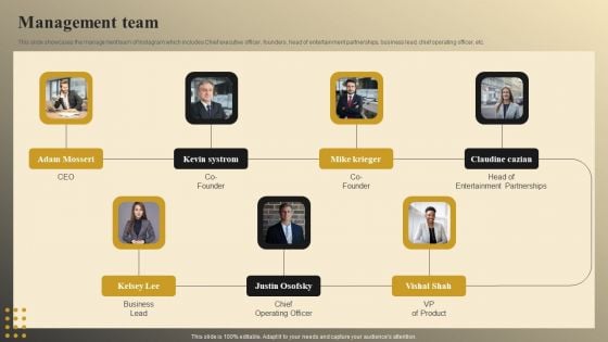 Online Video Model Company Profile Management Team Portrait PDF Online Video Model Company Profile Management Team Portrait PDF
