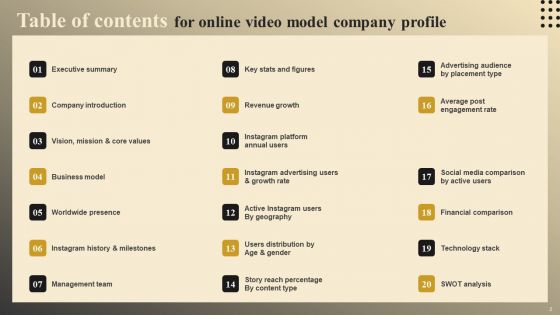Online Video Model Company Profile Ppt PowerPoint Presentation Complete Deck With Slides
