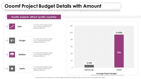 Ooomf Now Crew Capital Raising Elevator Pitch Deck Ooomf Project Budget Details With Amount Topics PDF