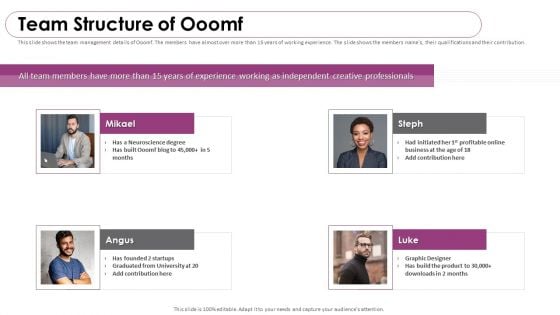 Ooomf Now Crew Capital Raising Elevator Pitch Deck Team Structure Of Ooomf Themes PDF