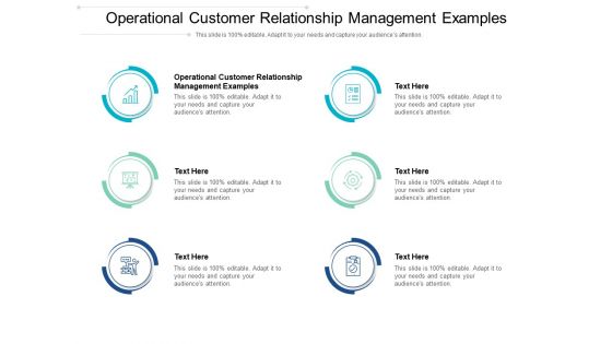 operational customer relationship management examples ppt powerpoint presentation layout cpb pdf