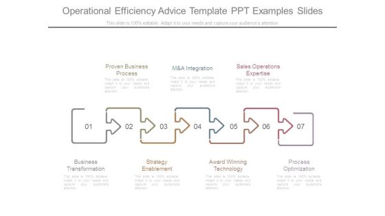 Operational Efficiency Advice Template Ppt Examples Slides