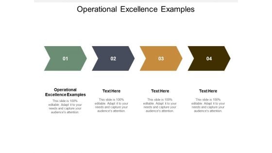 Operational Excellence Examples Ppt PowerPoint Presentation Picture Cpb