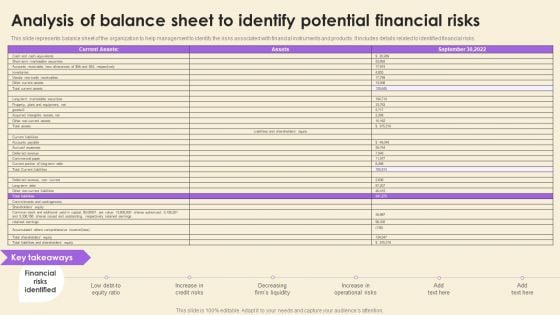 Operational Risk Assessment And Management Plan Analysis Of Balance Sheet To Identify Potential Financial Risks Elements PDF