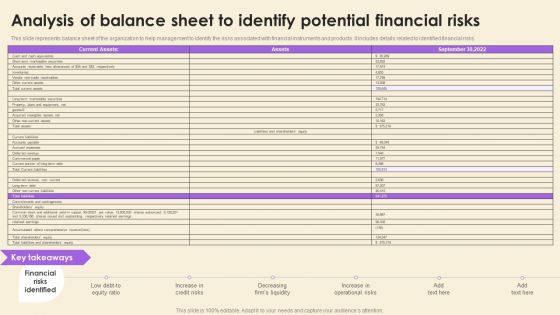Operational Risk Assessment And Management Plan Analysis Of Balance Sheet To Identify Potential Financial Risks Elements PDF Operational Risk Assessment And Management Plan Analysis Of Balance Sheet To Identify Potential Financial Risks Elements PDF