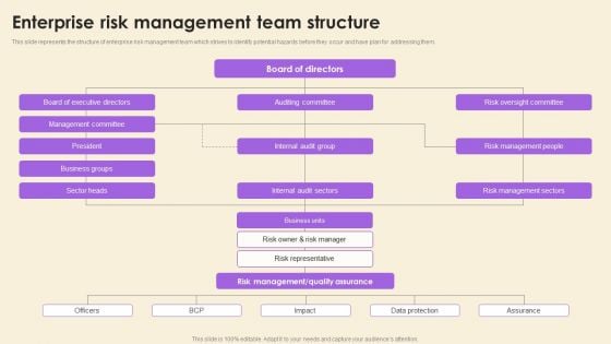 Operational Risk Assessment And Management Plan Enterprise Risk Management Team Structure Brochure PDF