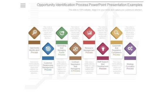 Opportunity Identification Process Powerpoint Presentation Examples