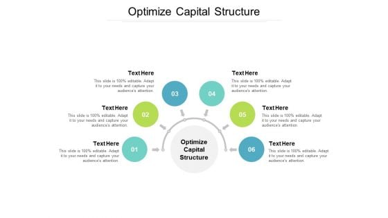 Optimize Capital Structure Ppt PowerPoint Presentation Styles Summary Cpb