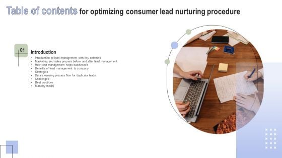 Optimizing Consumer Lead Nurturing Procedure Table Of Contents Information PDF