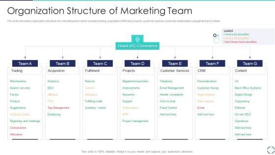 Optimizing E Business Promotion Plan Organization Structure Of Marketing Team Elements PDF