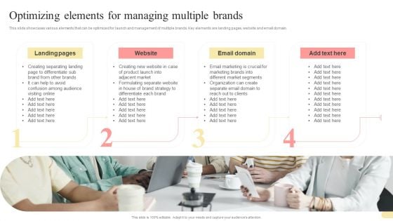 Optimizing Elements For Managing Multiple Brands Multi Branding Approaches For Different Portrait PDF