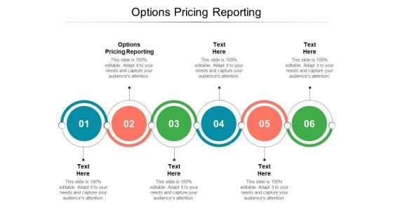 Options Pricing Reporting Ppt PowerPoint Presentation Icon Example Introduction Cpb Pdf