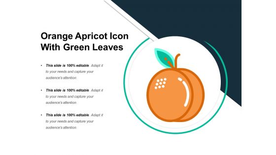 Orange Apricot Icon With Green Leaves Ppt PowerPoint Presentation Icon Model PDF