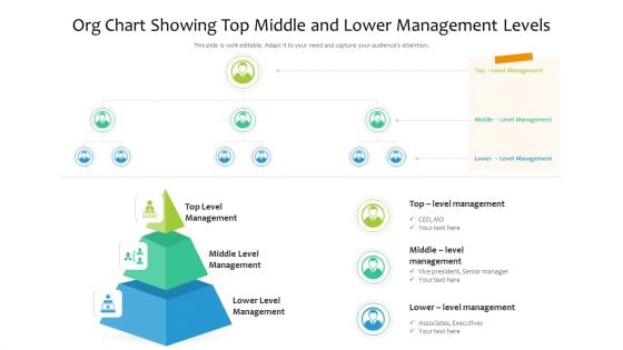 Org Chart Showing Top Middle And Lower Management Levels Brochure PDF