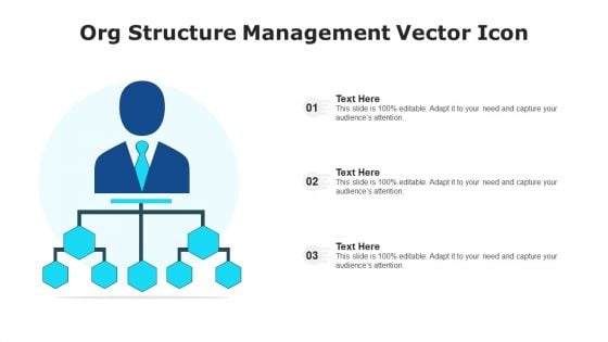 Org Structure Management Vector Icon Ppt Model Demonstration PDF