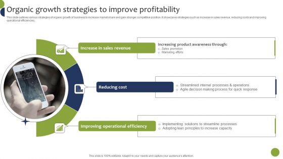 Organic Growth Strategies To Improve Profitability Guidelines PDF