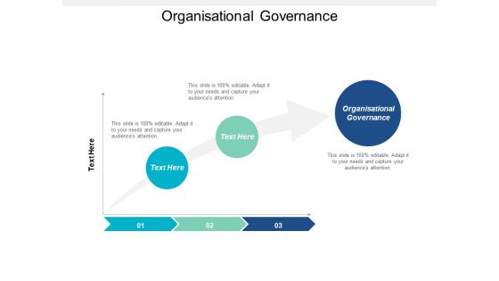 Organisational Governance Ppt PowerPoint Presentation Portfolio Model Cpb