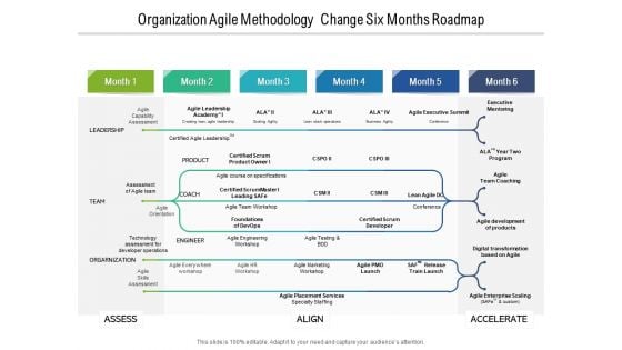 Organization Agile Methodology Change Six Months Roadmap Brochure