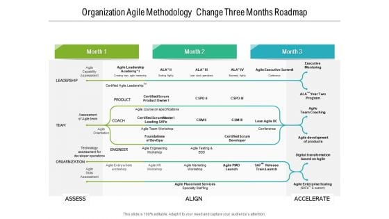 Organization Agile Methodology Change Three Months Roadmap Graphics