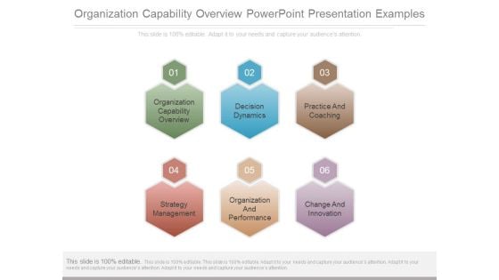 Organization Capability Overview Powerpoint Presentation Examples