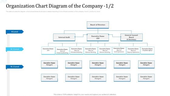 Organization Chart Diagram Of The Company Audit Template PDF