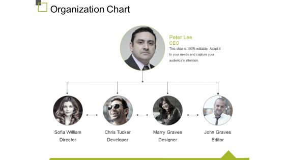 Organization Chart Ppt PowerPoint Presentation File Slide Download