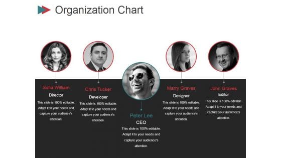 Organization Chart Ppt PowerPoint Presentation Gallery Graphics Example